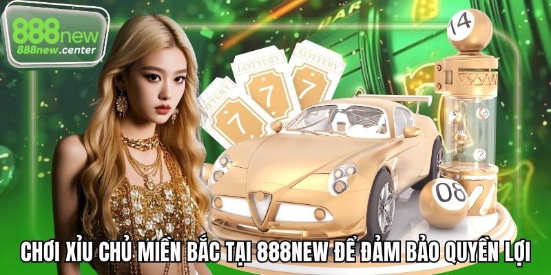 Chơi xỉu chủ miền bắc tại 888NEW để đảm bảo quyền lợi